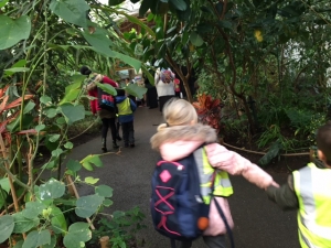 Year 1 Visit the Zoo!