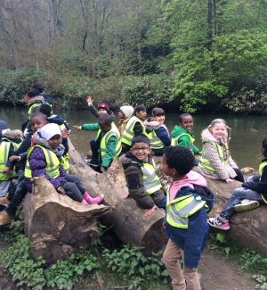 Gruffalo class have fun in the forest!
